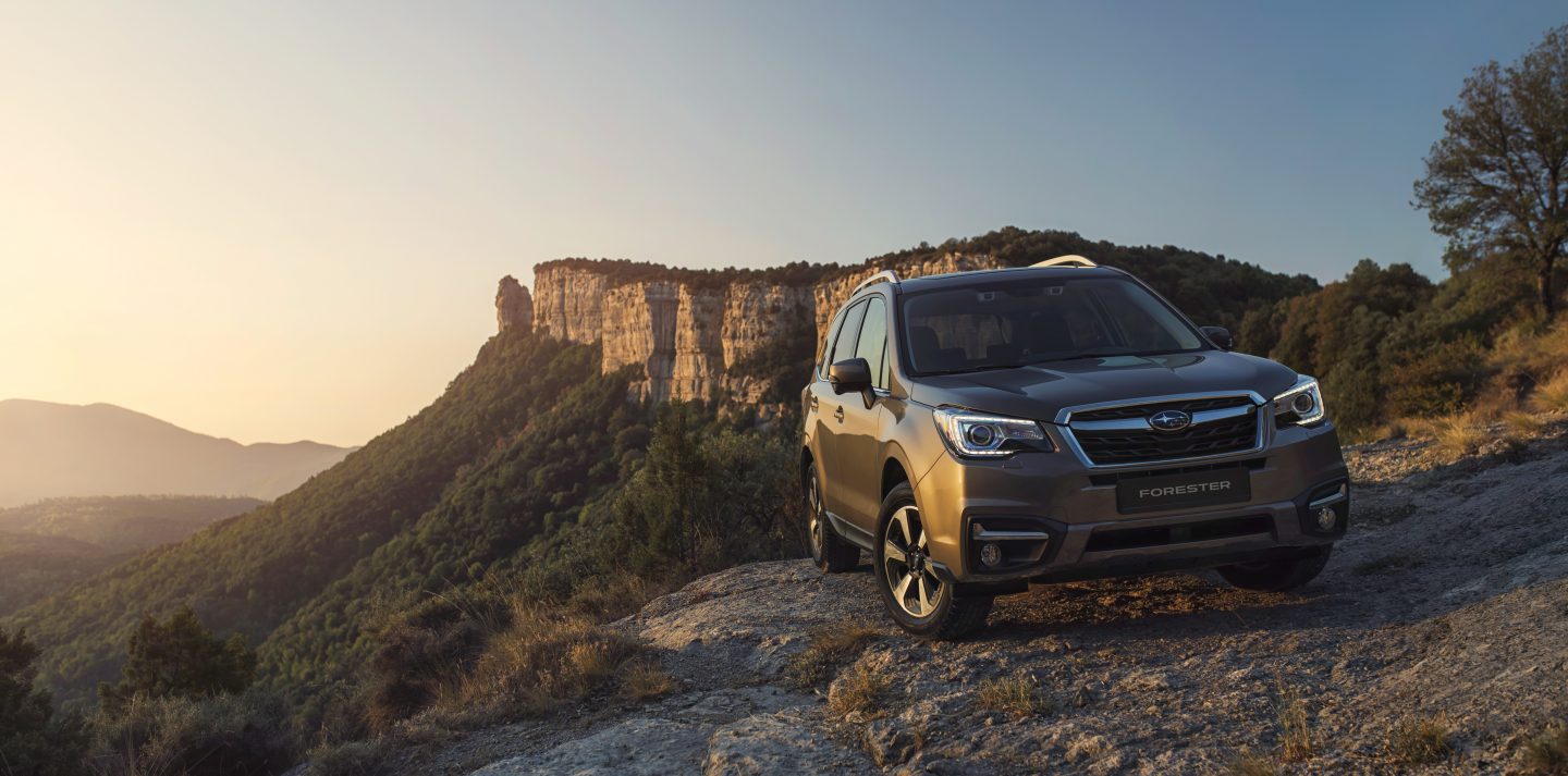 Ganador subaru forester