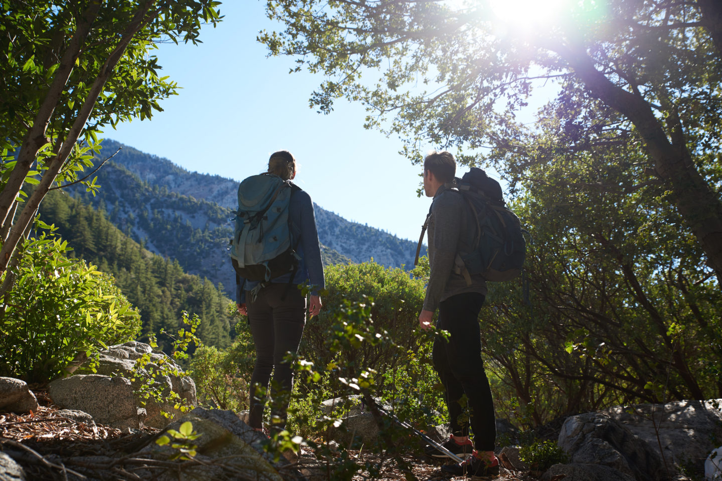 Consejos Para Viajar En Modo Sostenible - Universo Subaru